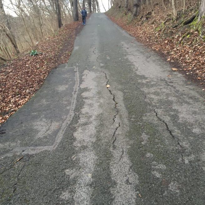 Sanierung von Hangrutschen – Talsteinweg Erlkönig in Jena